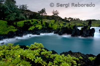 Wai’anapanapa State Park. Un lugar frondoso con cuevas marinas y volcánicos acantilados. Carretera de Hana. Maui.